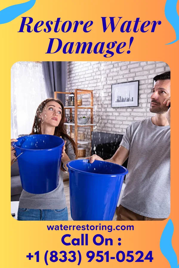 water restoration Premier Water Removal Partners Chunky