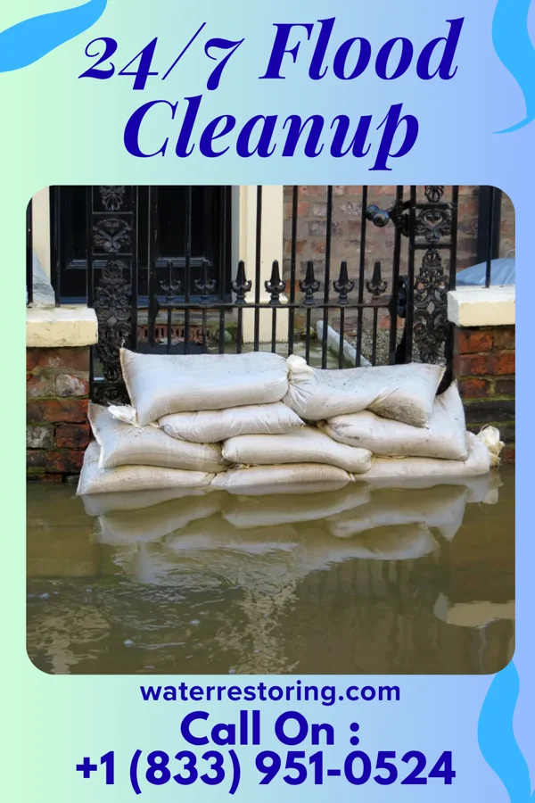 24/7 Flood Cleanup in Chunky, MS