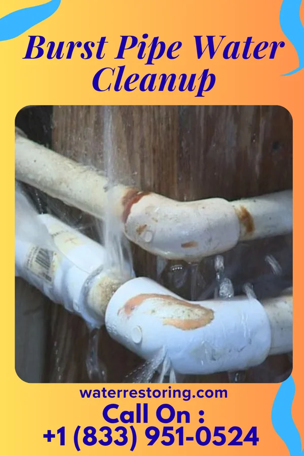 Burst Pipe Water Cleanup in Chunky, MS