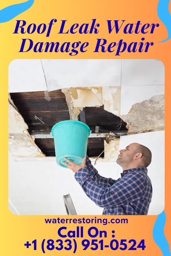 Roof Leak Water Damage Repair in Chunky, MS