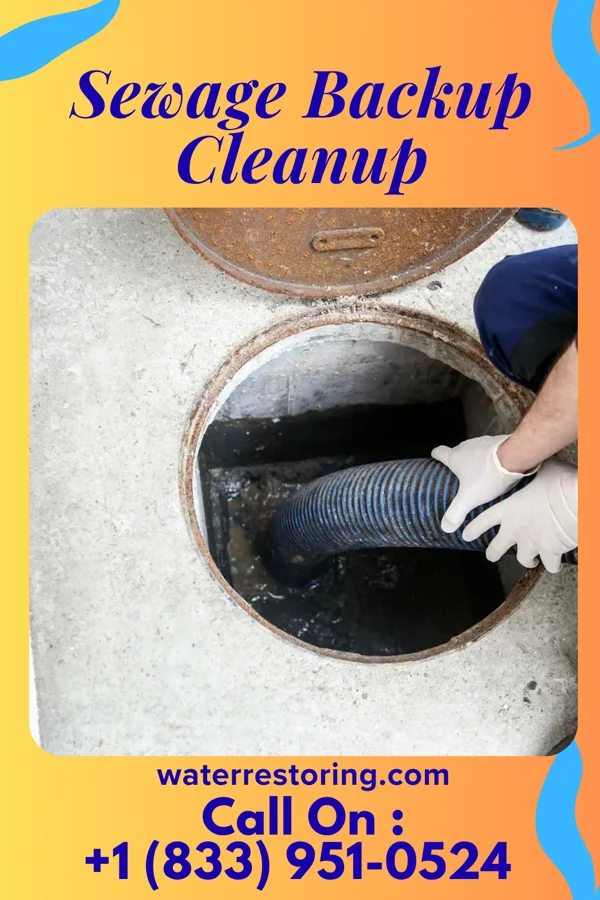 Sewage Backup Cleanup in Chunky, MS